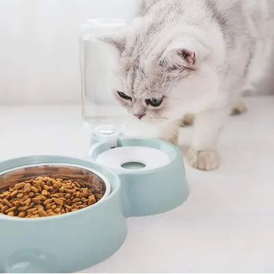 KPYTE Bol d'eau automatique pour chat