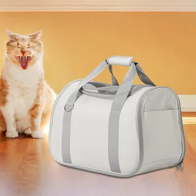 KPYTE Sac à dos pour chat et chien