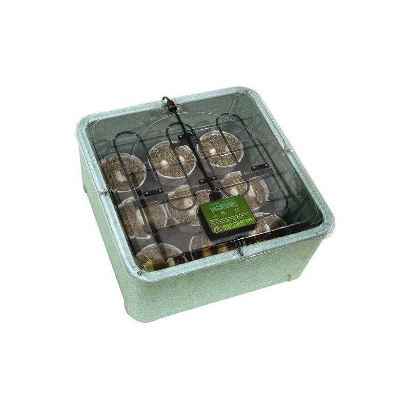 ZooMed - Reptibator Incubator, Incubateur reptile pour Reptile
