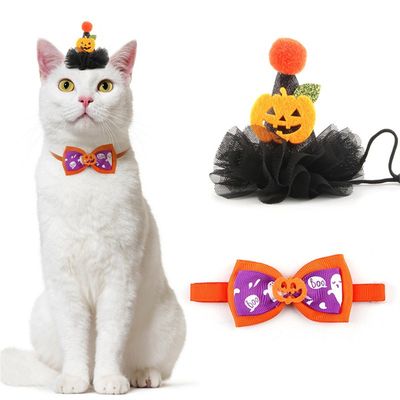 IntiMeg Déguisement Citrouille d'Halloween pour Chat