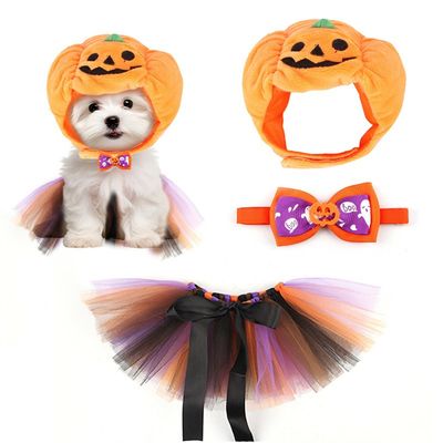 IntiMeg Déguisement Citrouille d'Halloween pour Chat