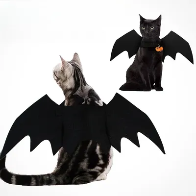 IntiMeg Halloween-Kostüm mit Fledermausflügeln für Hunde und Katzen
