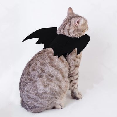 IntiMeg Costume d'Halloween avec ailes de chauve pour chien et chat