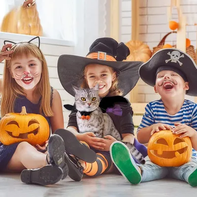 IntiMeg Halloween-Kostüm mit Fledermausflügeln für Hunde und Katzen
