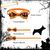 IntiMeg Collection Halloween : 12 colliers à nœud pour chat