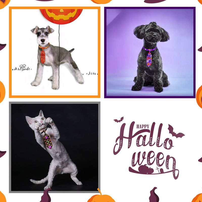 IntiMeg 11 nœuds papillon pour chiens et chats sur le thème d'Halloween