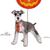 IntiMeg 11 nœuds papillon pour chiens et chats sur le thème d'Halloween