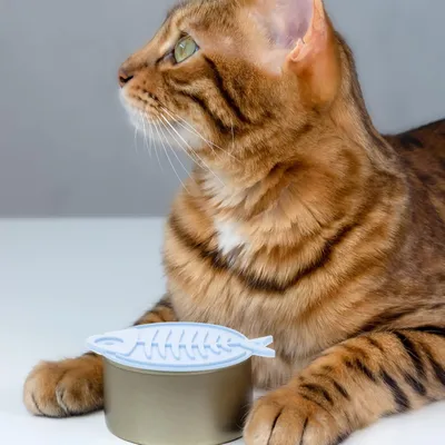 KPYTE Cuillère à couvercle en silicone pour chats et chiens