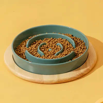 KPYTE Gamelle Slow Food pour chien avec support en bois