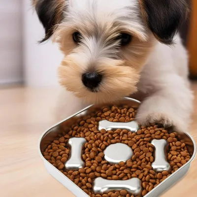 KPYTE Gamelle antidérapante à alimentation lente pour chien