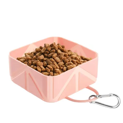 KPYTE Gamelle de voyage pour chien