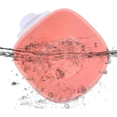 KPYTE Gamelle suspendue pour chien slow food