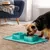 KPYTE Gamelle pliable en silicone pour chien