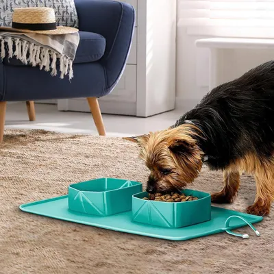 KPYTE Gamelle pliable en silicone pour chien