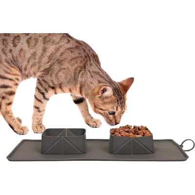 KPYTE Gamelle pliable en silicone pour chien