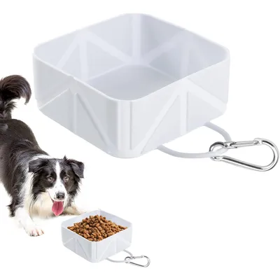 KPYTE Gamelle de voyage pour chien