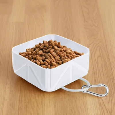 KPYTE Gamelle de voyage pour chien