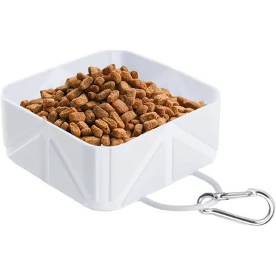 KPYTE Gamelle de voyage pour chien