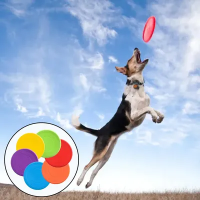 KPYTE Jouet frisbee pour chien