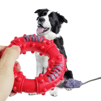 KPYTE Jouet à mâcher pour chien avec anneau