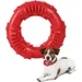 KPYTE Hundekauspielzeug mit Ring