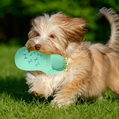 KPYTE Chaussons en latex sonores, jouet à mâcher pour chien