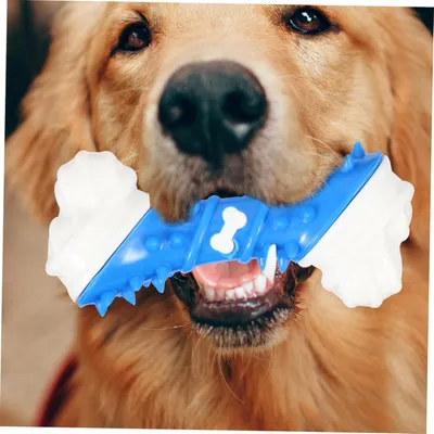 KPYTE Jouets à mâcher en forme d'os pour chien