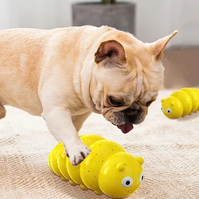 KPYTE Jouet de dentition couineur pour chien