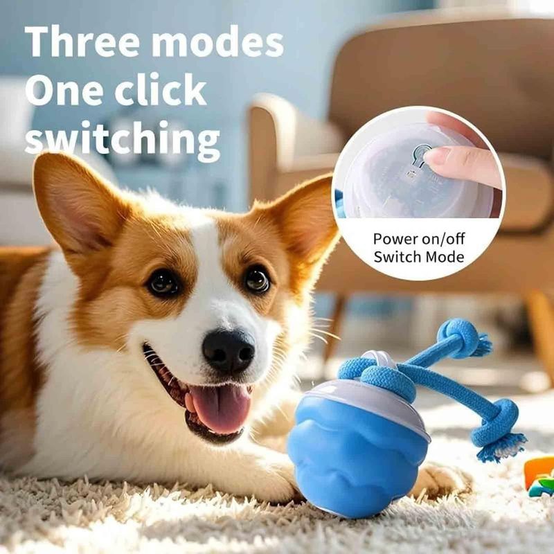 KPYTE Jouet intelligent pour chien avec balle roulante