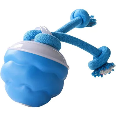 KPYTE Jouet intelligent pour chien avec balle roulante