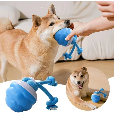 KPYTE Jouet intelligent pour chien avec balle roulante