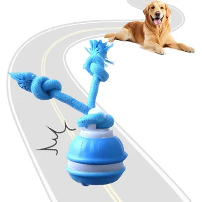 KPYTE Balle jouet interactive pour chien