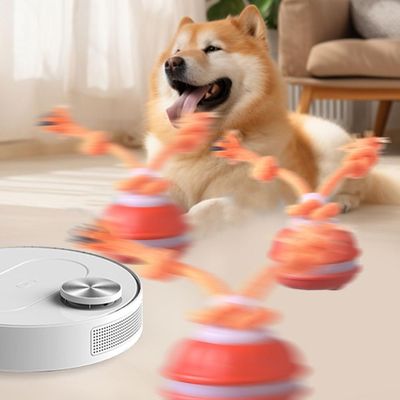 KPYTE Balle jouet interactive pour chien
