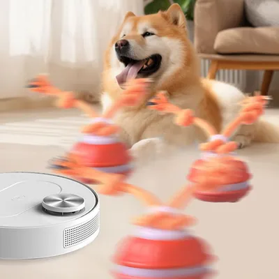 KPYTE Balle jouet interactive pour chien