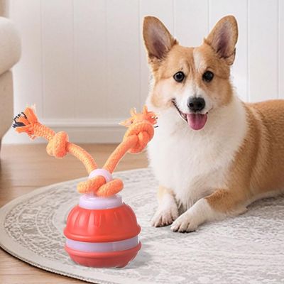 KPYTE Balle jouet interactive pour chien
