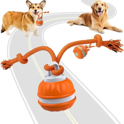 KPYTE Balle jouet interactive pour chien