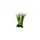 Hobby - Flora Root - Décor pour Reptiles - Hobby