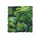 ZooMed - Mexican Phyllo - Décor pour Terrarium - ZooMed