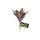 ZooMed - Naturalistic Flora, Chestnut Bromelia - Décor pour Terrarium