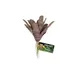 ZooMed - Naturalistic Flora, Chestnut Bromelia - Décor pour Terrarium
