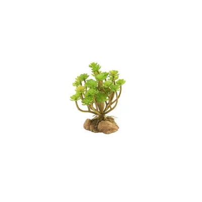 ZooMed - Naturalistic Desert Flora - Tree Houseleek - Décor