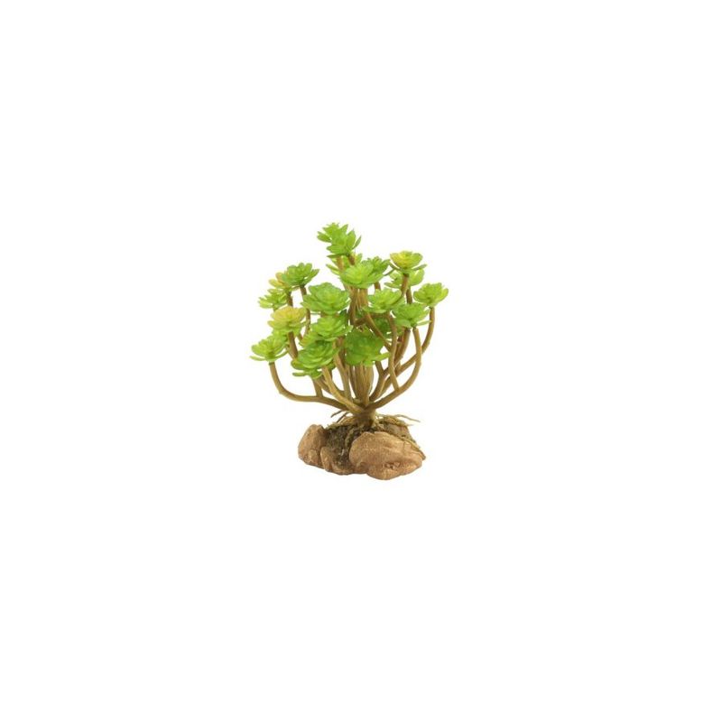 ZooMed - Naturalistic Desert Flora - Tree Houseleek - Décor pour Reptiles
