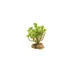 ZooMed - Naturalistic Desert Flora - Tree Houseleek - Décor pour Reptiles