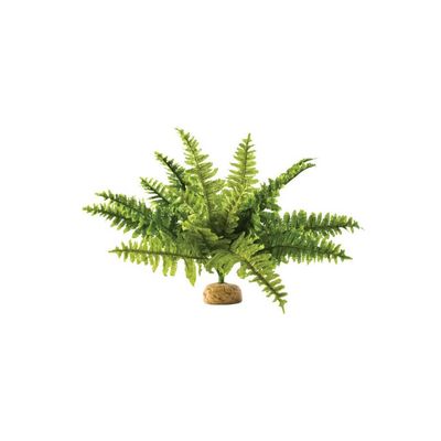 Exo Terra - Fougère de Boston - Décor pour Reptiles