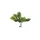 Hobby - Palmier - Décor pour Reptiles - Hobby
