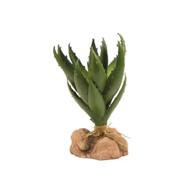 ZooMed - Naturalistic Desert Flora - Green Aloe Vera - Décor pour Reptiles ZooMed - Naturalistic Desert Flora - Green Aloe Vera - Décor pour Reptiles