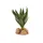 ZooMed - Naturalistic Desert Flora - Green Aloe Vera - Décor