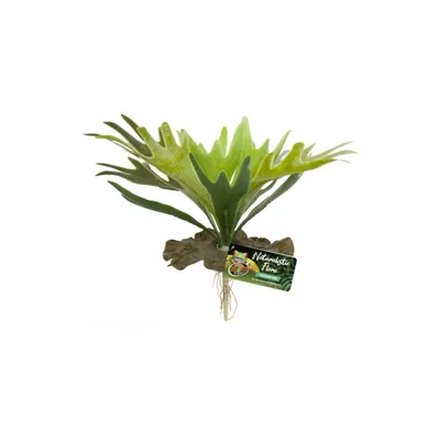 ZooMed - Plante Staghorn Fern - Décor pour Terrarium ZooMed - Plante Staghorn Fern - Décor pour Terrarium