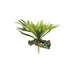 ZooMed - Plante Staghorn Fern - Décor pour Terrarium