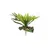 ZooMed - Plante Staghorn Fern - Décor pour Terrarium ZooMed - Plante Staghorn Fern - Décor pour Terrarium